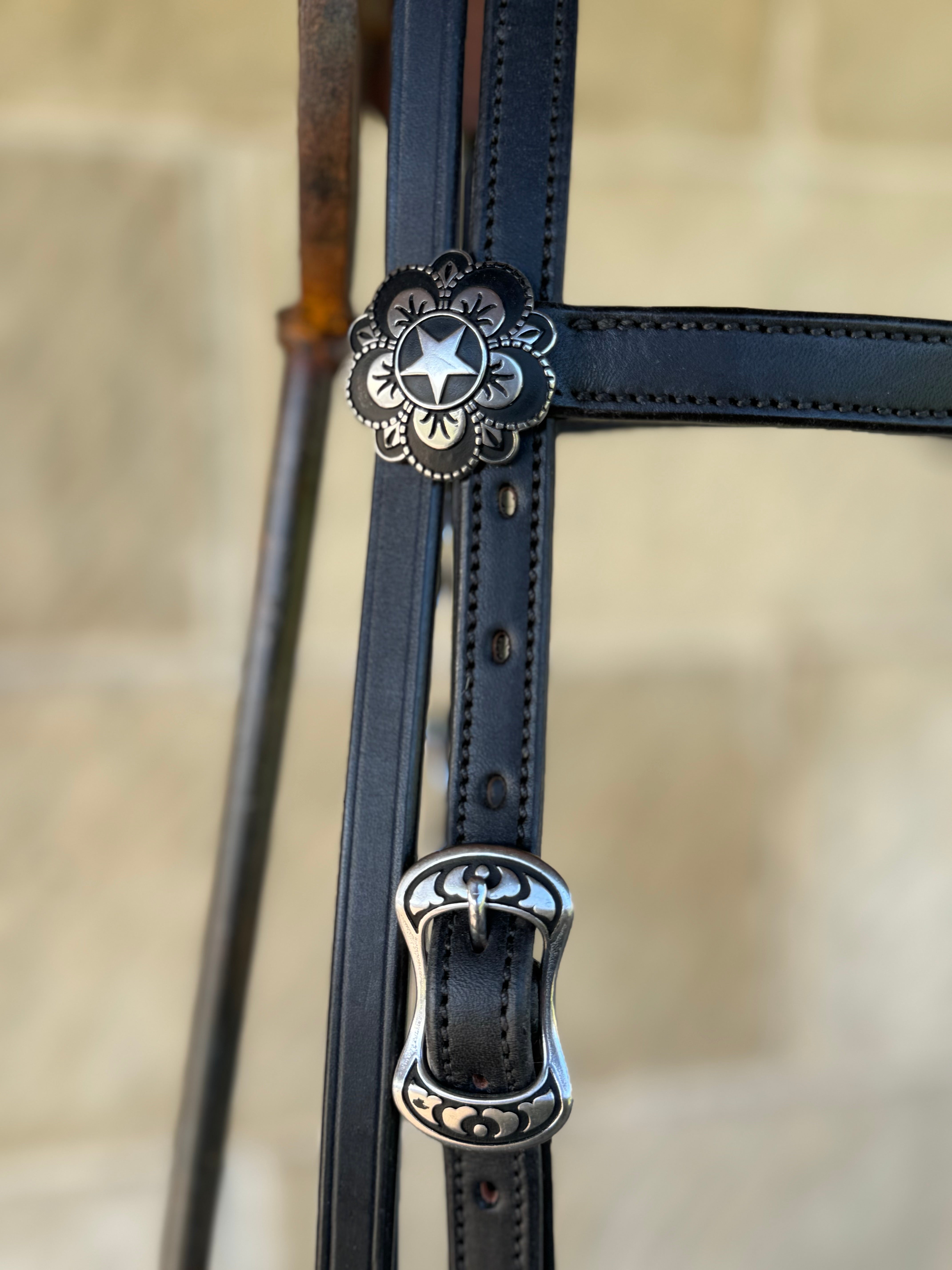 Black Bridle #14