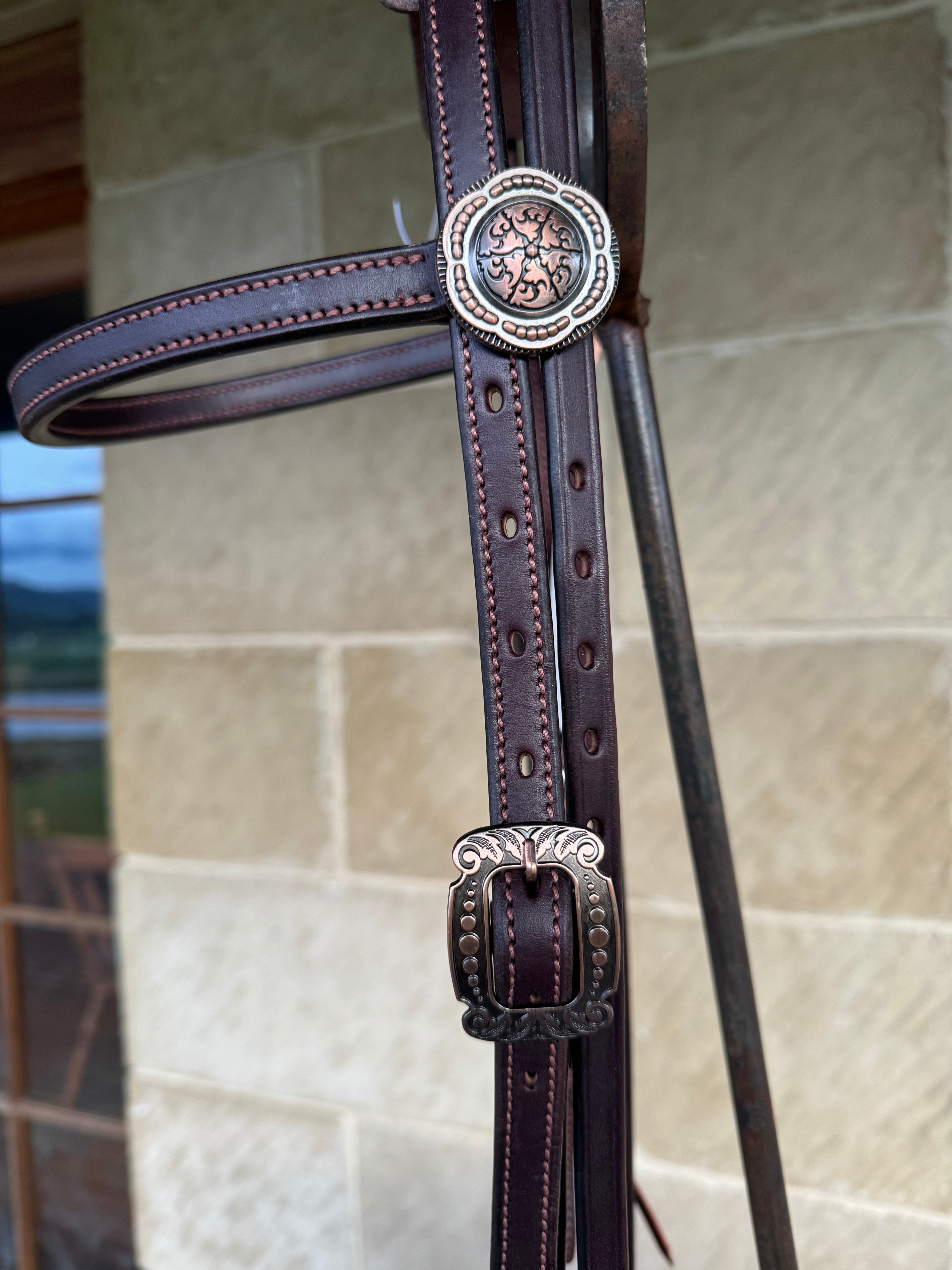 Dark Brown Bridle #28