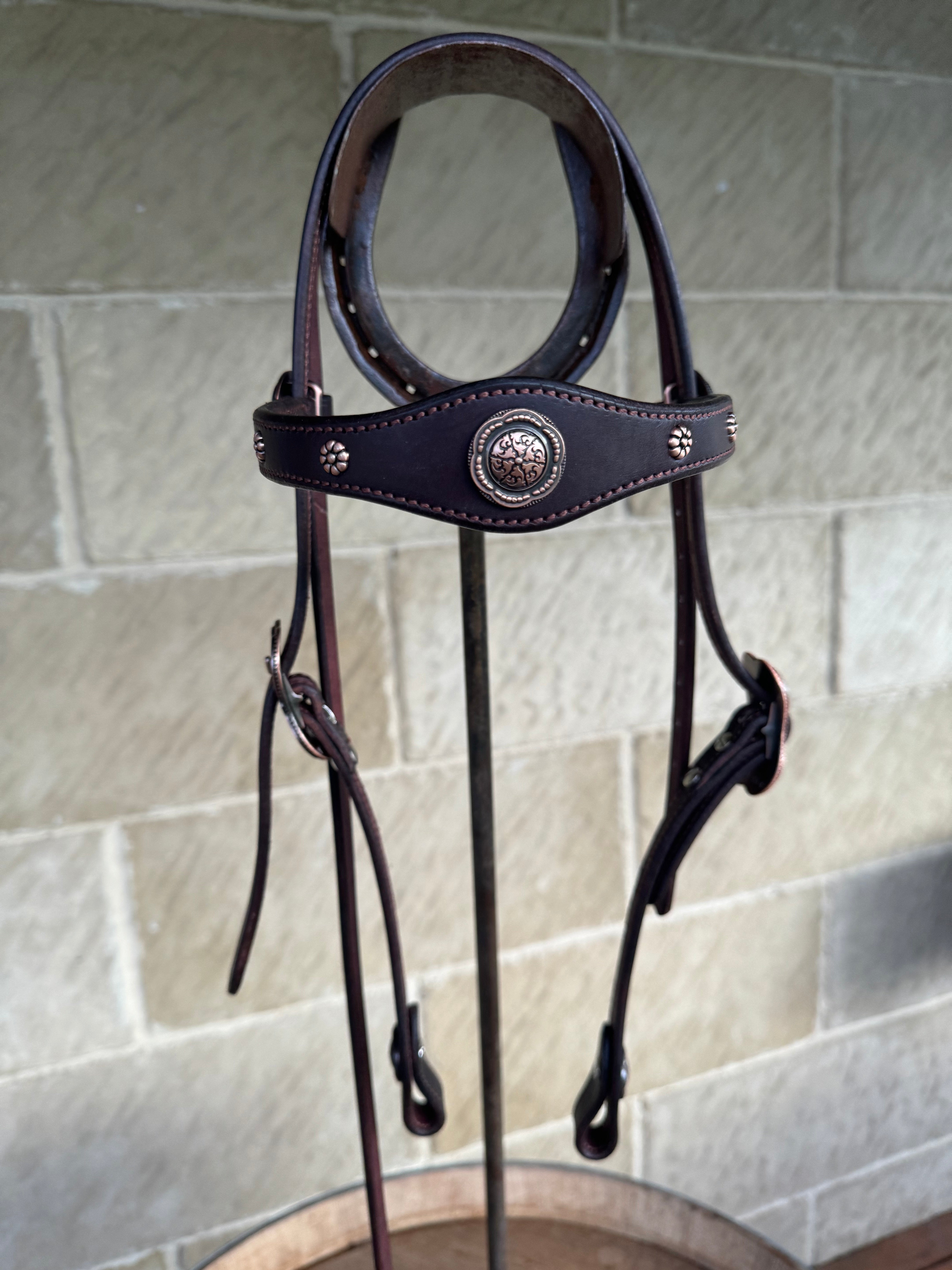 Dark Brown Bridle #29