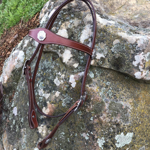 Slobber Straps - Shaped